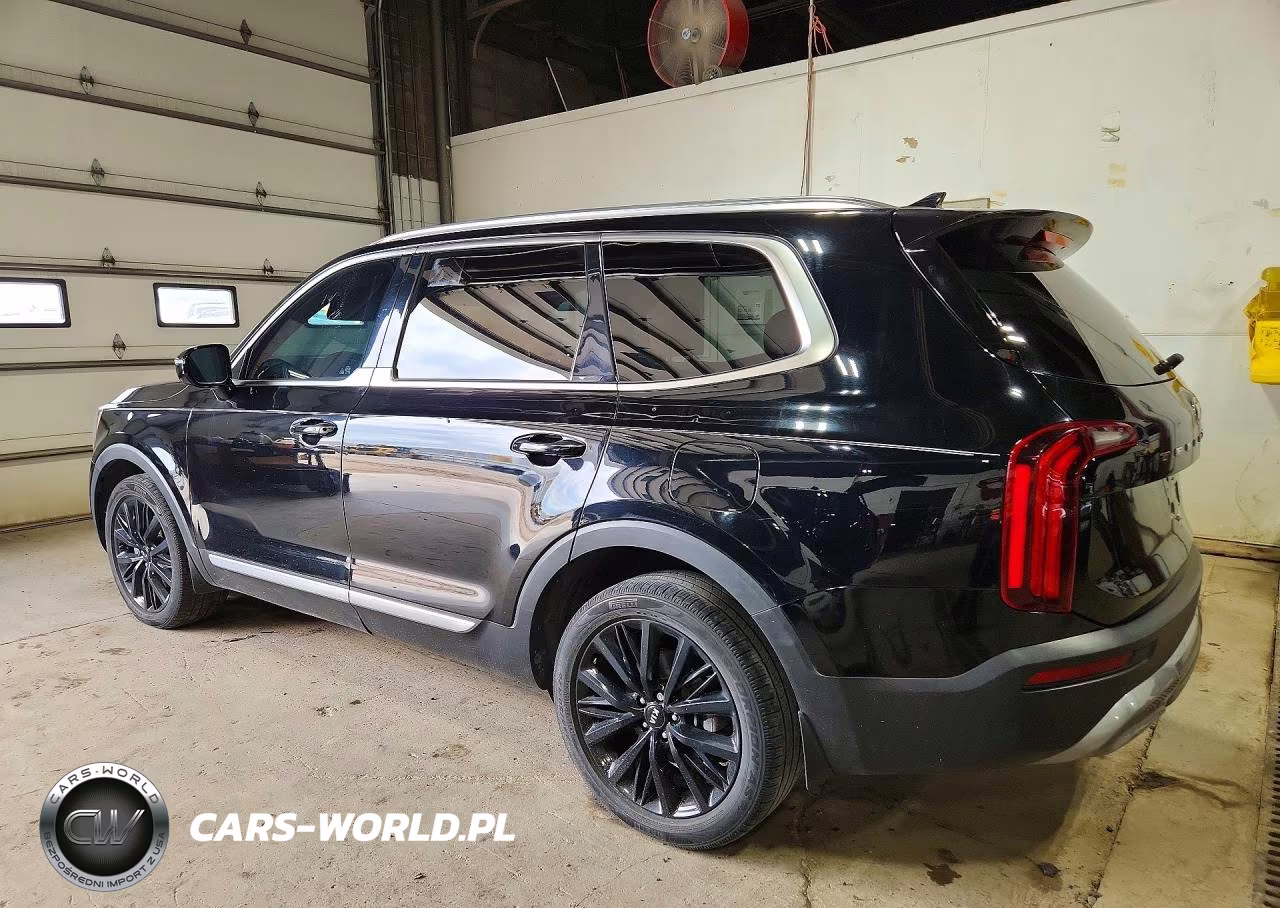 2021 Kia Telluride Sx VIN:5XYP54HC7MG137393 - 2