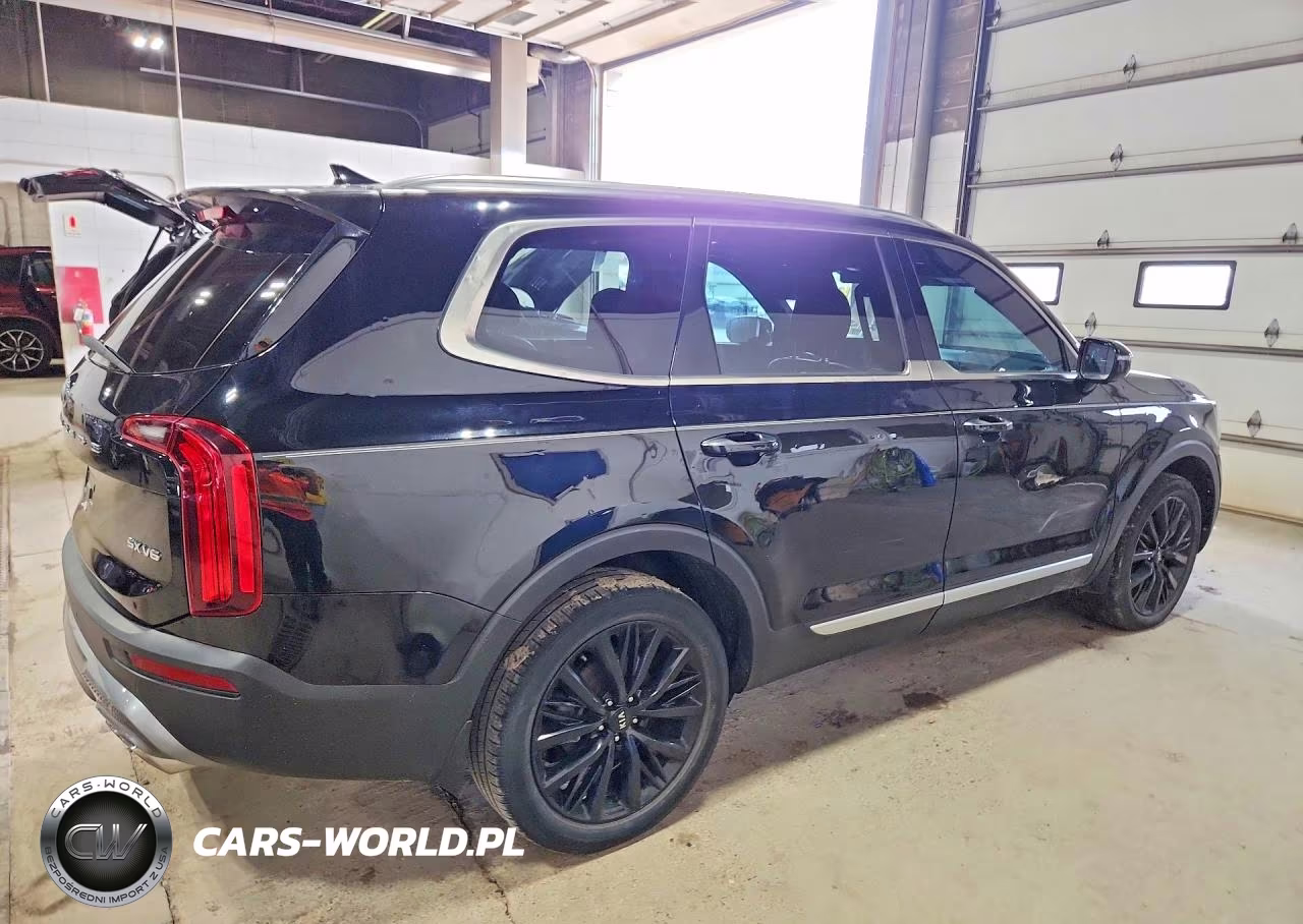 2021 Kia Telluride Sx VIN:5XYP54HC7MG137393 - 3