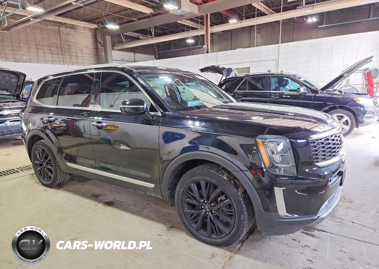 2021 Kia Telluride Sx VIN:5XYP54HC7MG137393 - 4