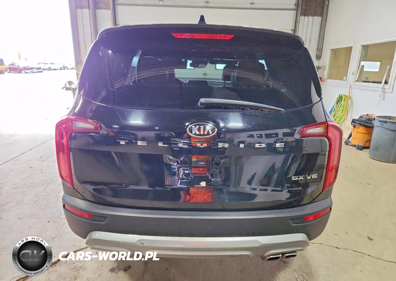 2021 Kia Telluride Sx VIN:5XYP54HC7MG137393 - 6