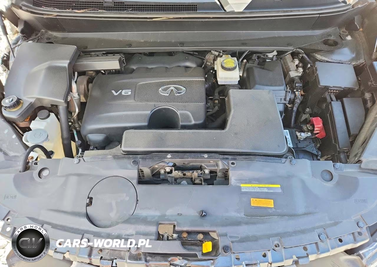 2019 Infiniti Qx60 Luxe VIN:5N1DL0MM4KC554144 - 12