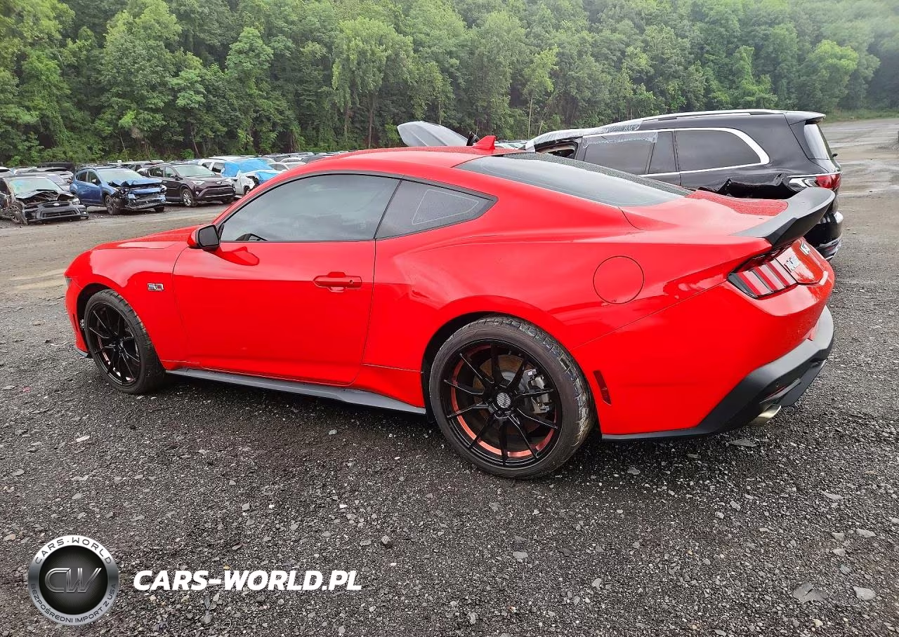 2024 Ford Mustang VIN:1FA6P8CF2R5428355 - 2