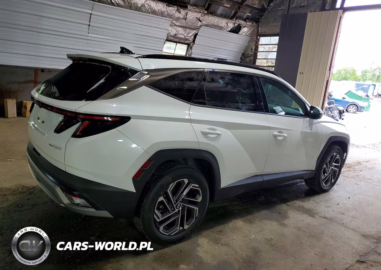 2025 Hyundai Tucson Limited VIN:KM8JEDD17SU344707 - 3