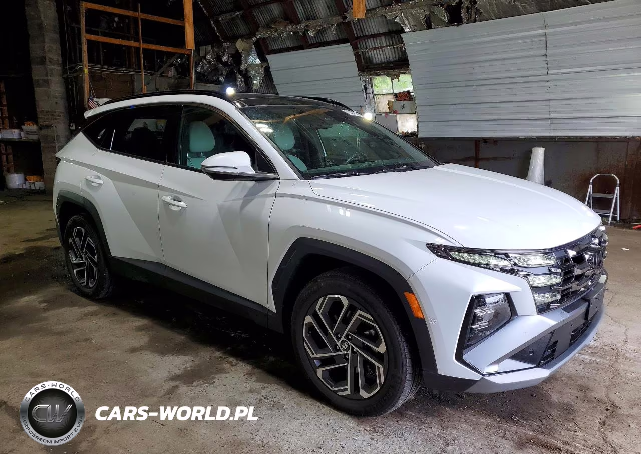 2025 Hyundai Tucson Limited VIN:KM8JEDD17SU344707 - 4