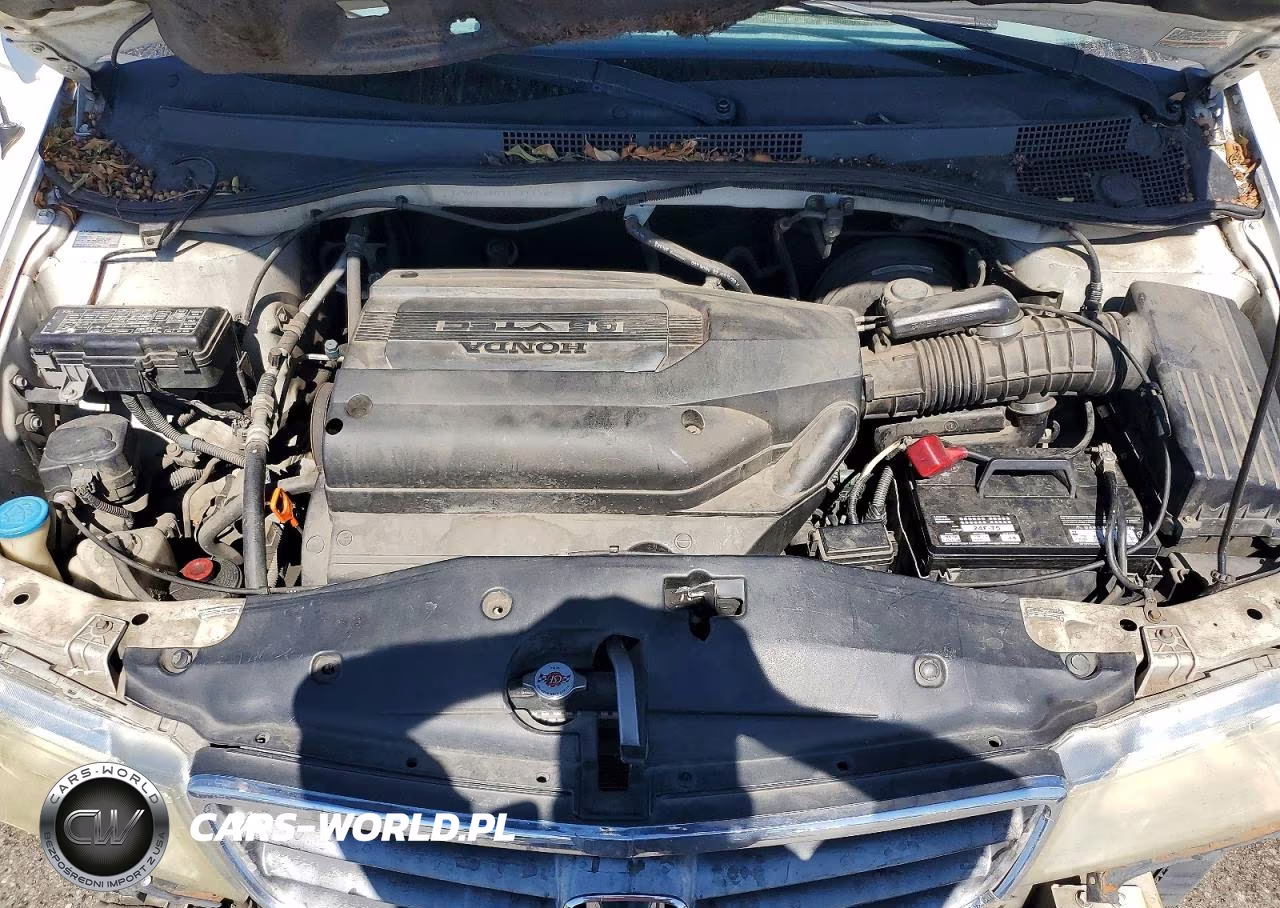 2003 Honda Odyssey Exl VIN:5FNRL18073B111742 - 12