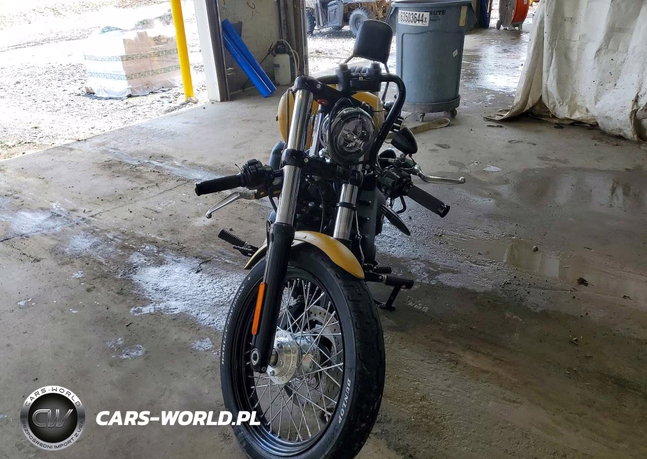 2019 Harley-Davidson Fxbb VIN:1HD1YJJ22KB066302 - 2