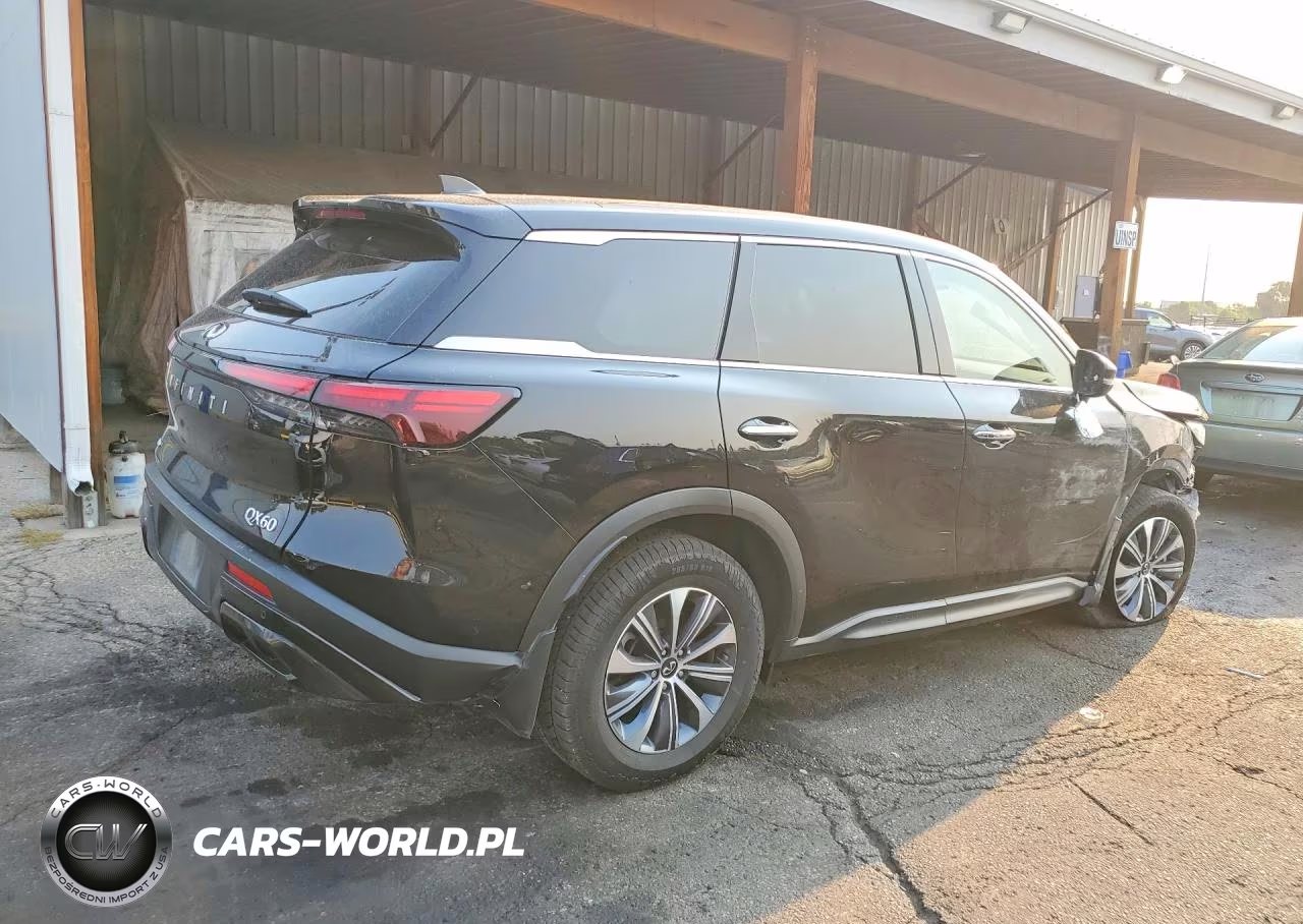 2025 Infiniti Qx60 Pure VIN:5N1AL1ES1SC356918 - 3