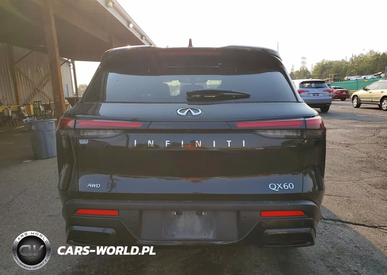 2025 Infiniti Qx60 Pure VIN:5N1AL1ES1SC356918 - 6