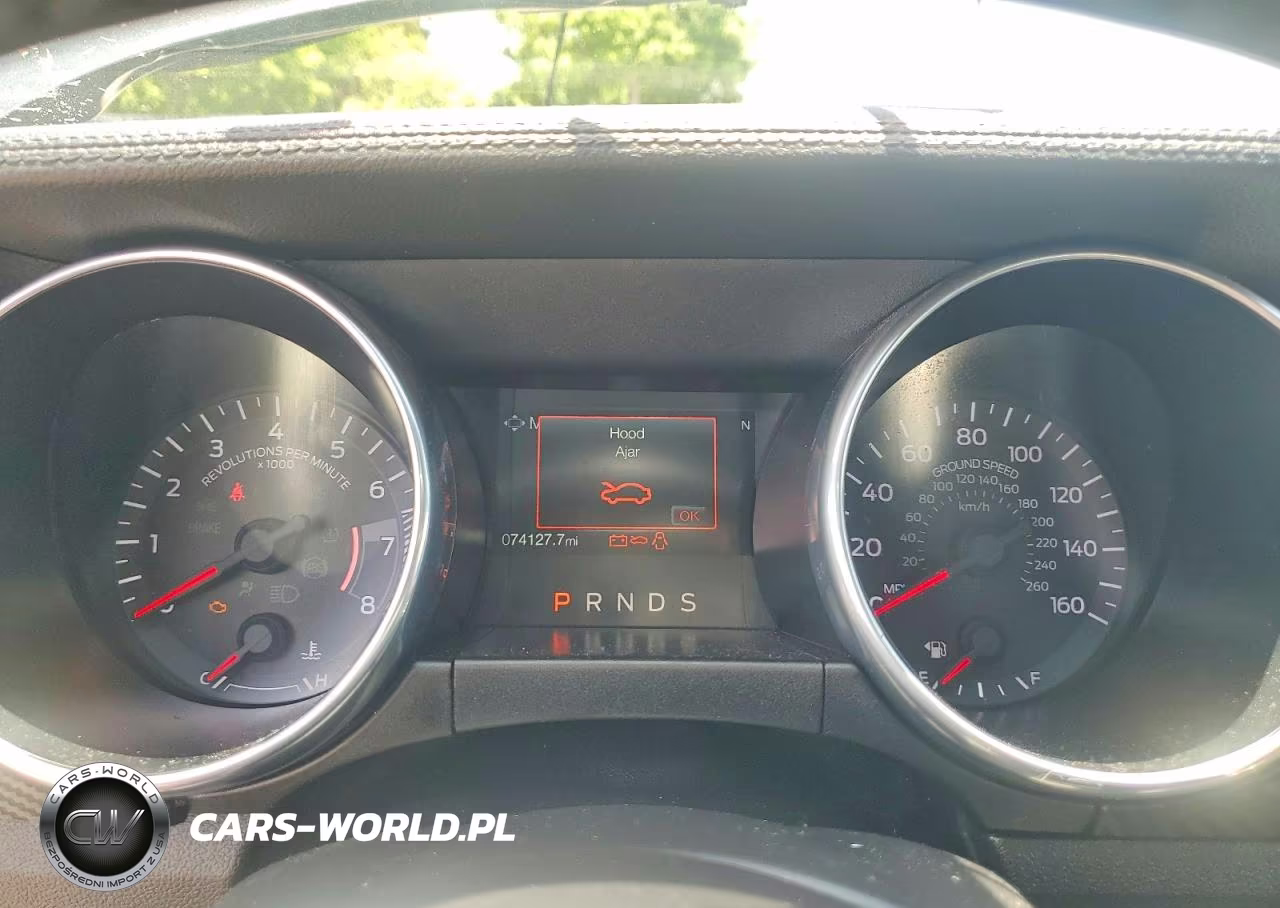 2022 Suzuki Alt125 VIN:1FA6P8TH5K5166435 - 9