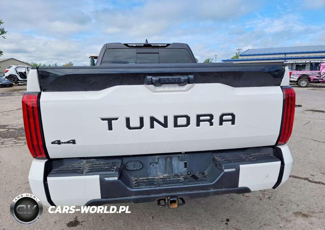 2023 Toyota Tundra Sr5 VIN:5TFLA5DAXPX090124 - 6