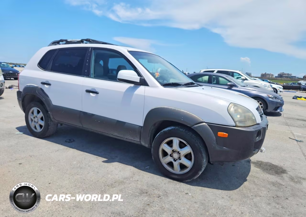 2005 Hyundai Tucson Gls VIN:KM8JN12D55U230835 - 4