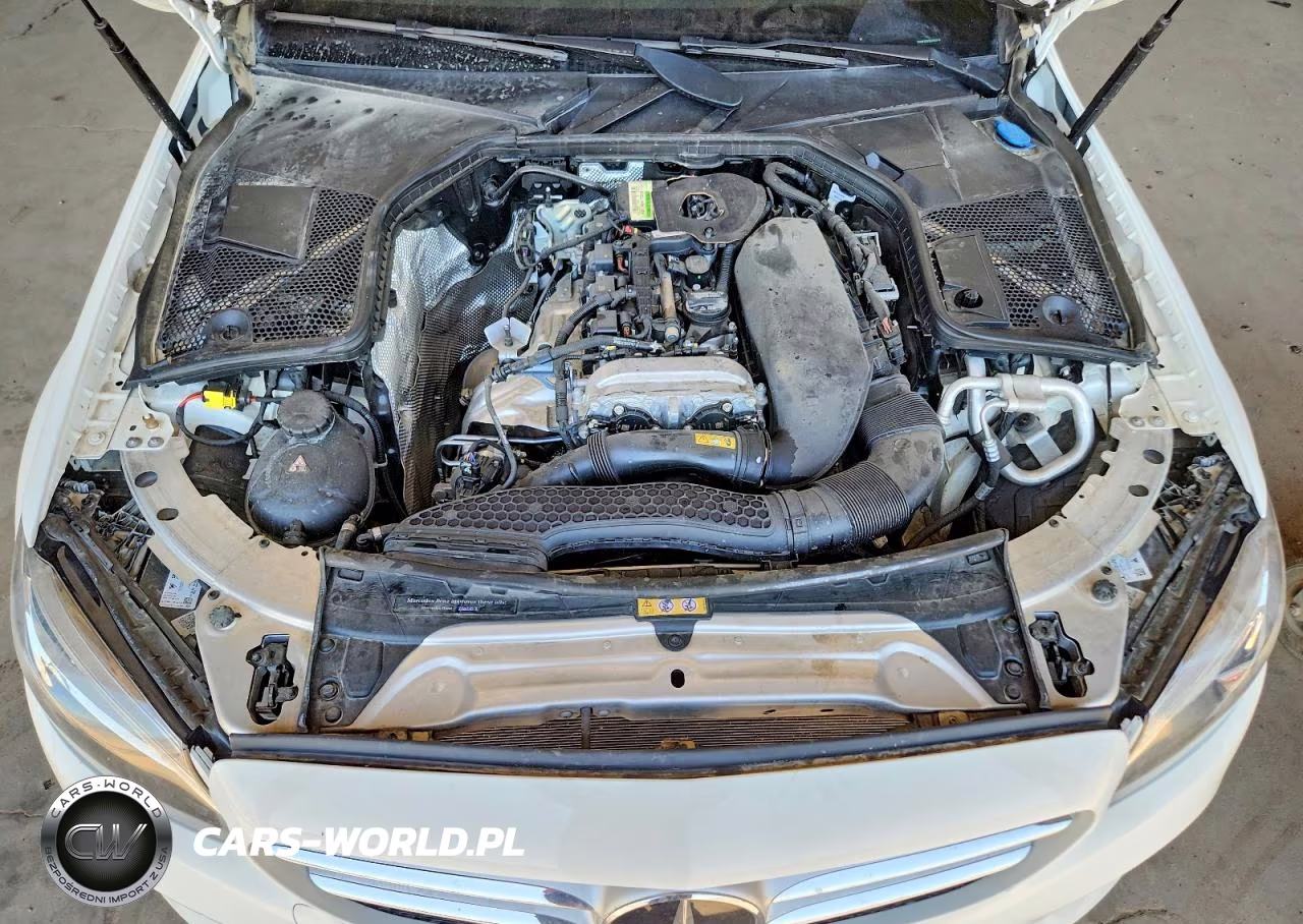 2019 Mercedes-Benz C 300 VIN:55SWF8DB5KU300610 - 11