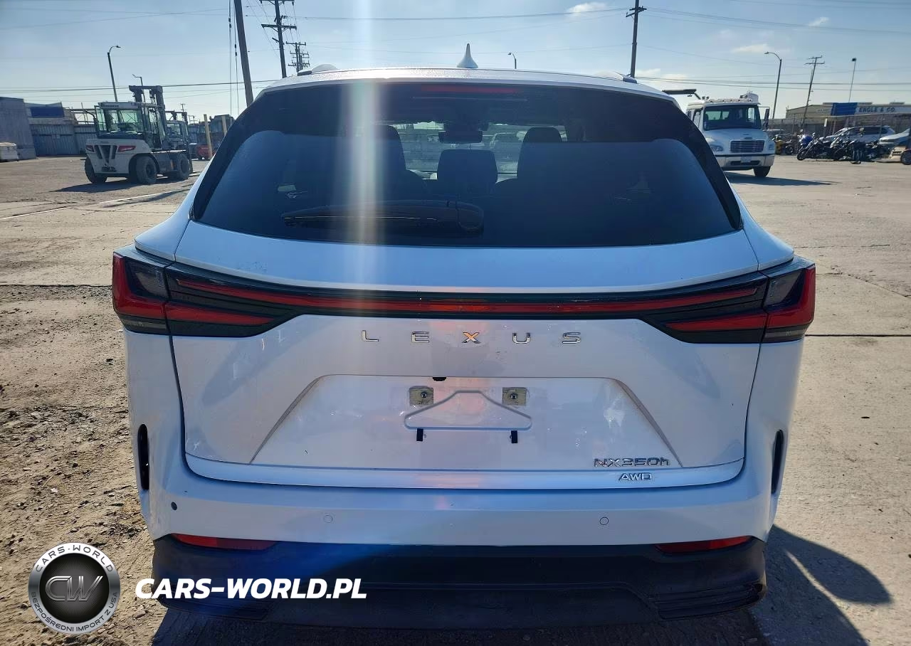 2024 Lexus Nx 350H Premium VIN:JTJGKCEZ3R5016529 - 6