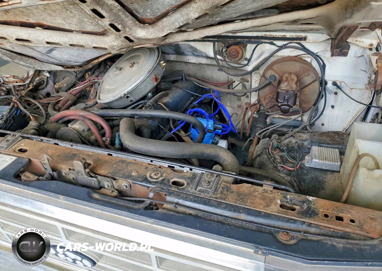 1982 Ford F150 VIN:1FTEF15E2CNA38383 - 11
