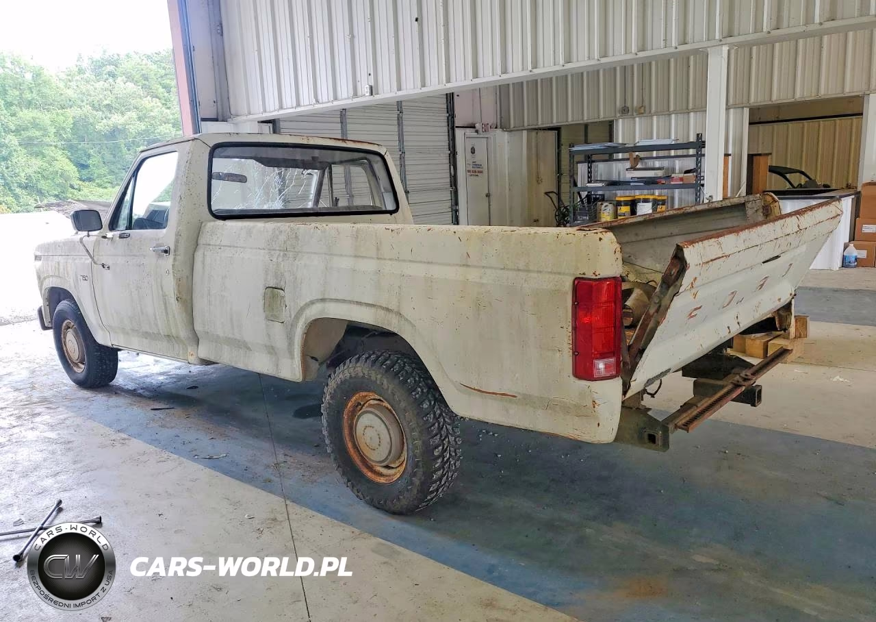 1982 Ford F150 VIN:1FTEF15E2CNA38383 - 2