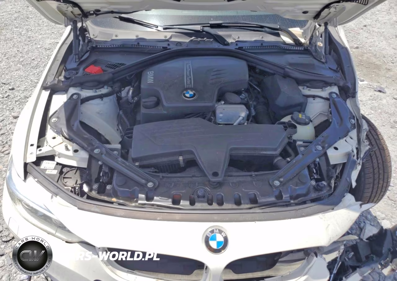 2016 BMW 428 I Sulev VIN:WBA3V7C5XG5A24799 - 11