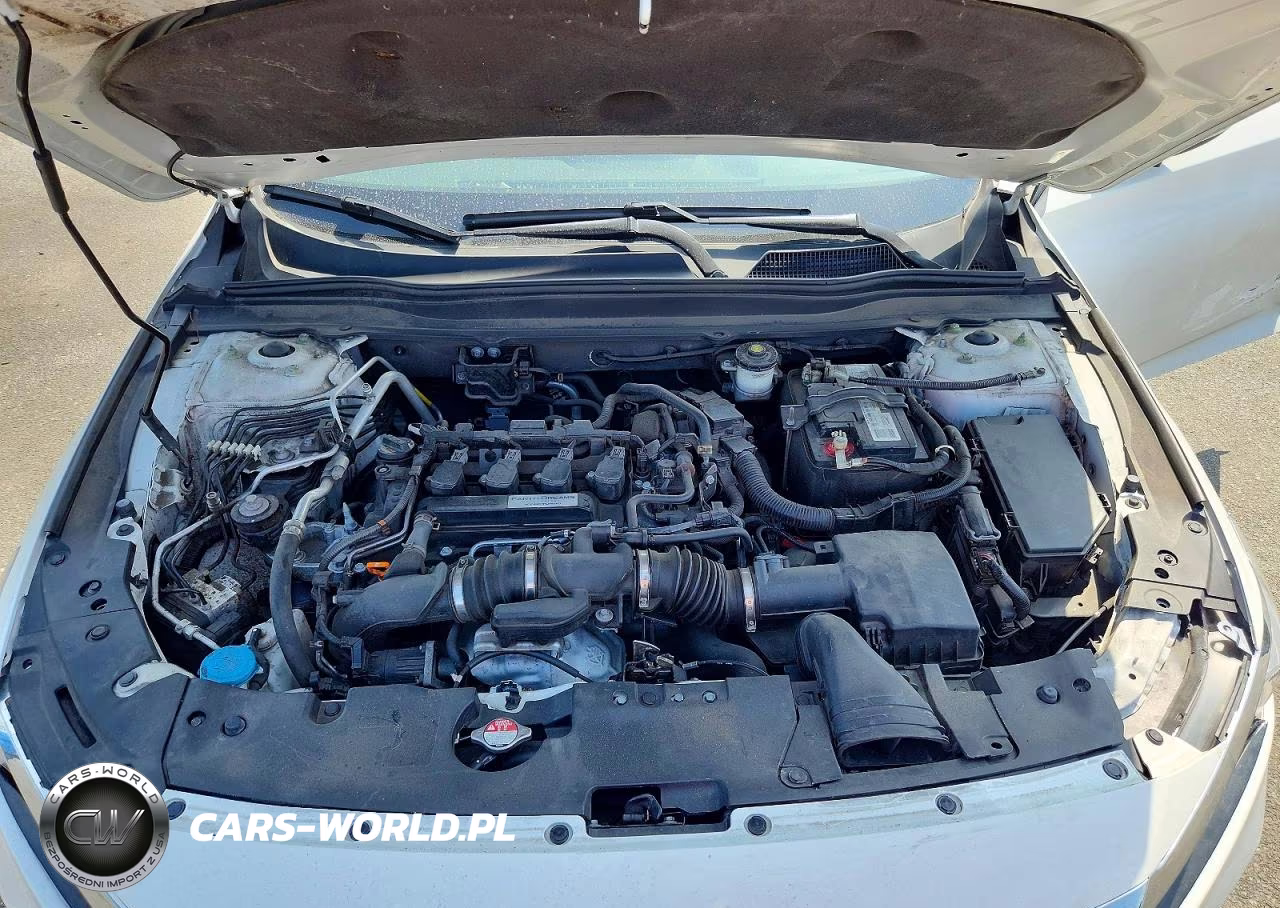 2019 Honda Accord Lx VIN:1HGCV1F18KA003795 - 11