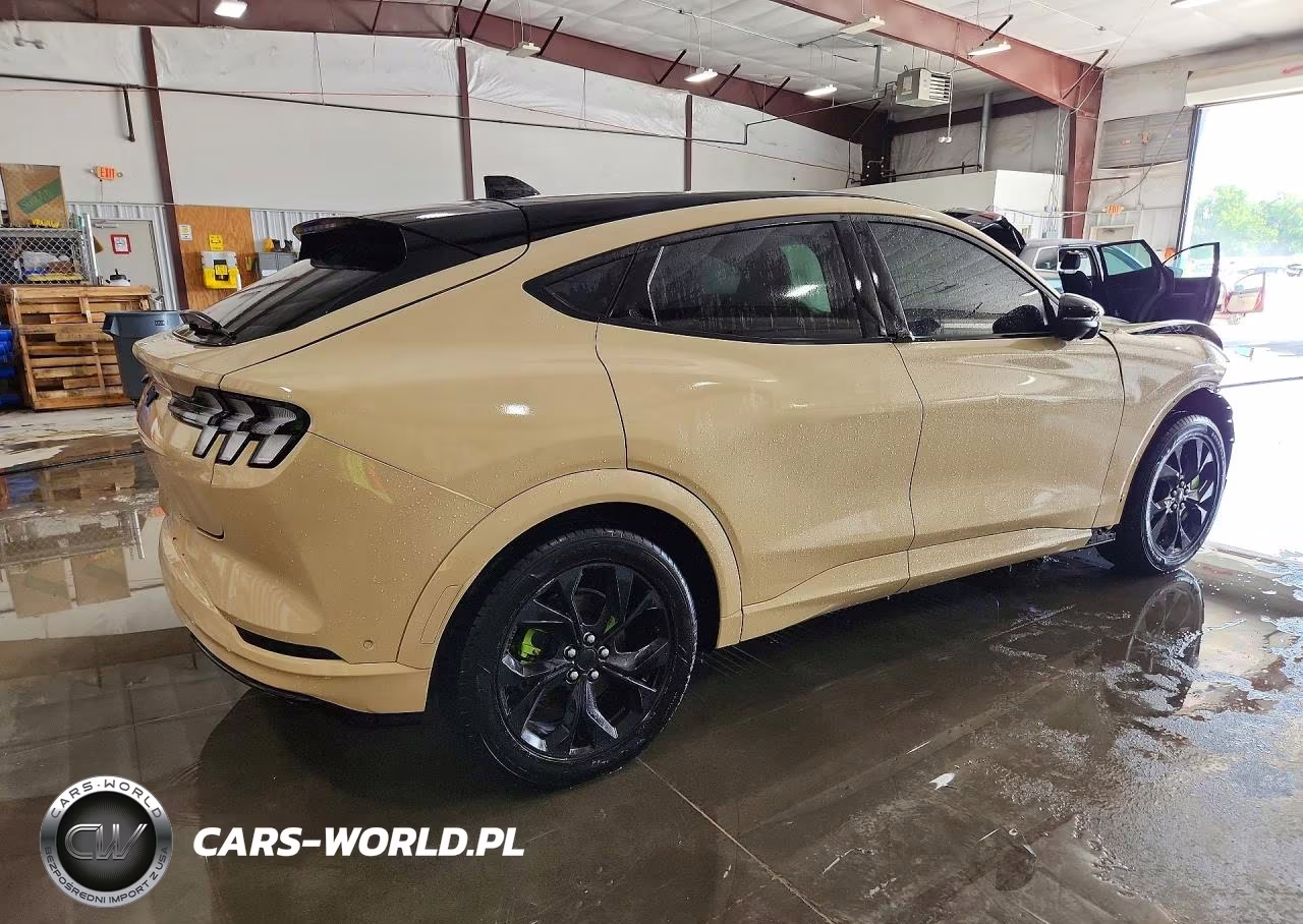 2021 Ford Mustang Mach-E Premium VIN:3FMTK3SU7MMA02416 - 3