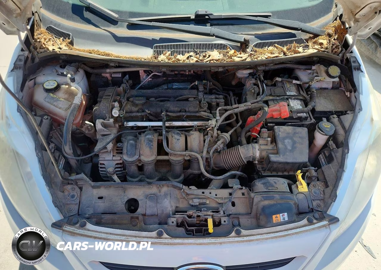 2013 Ford Fiesta Se VIN:3FADP4EJXDM204352 - 11