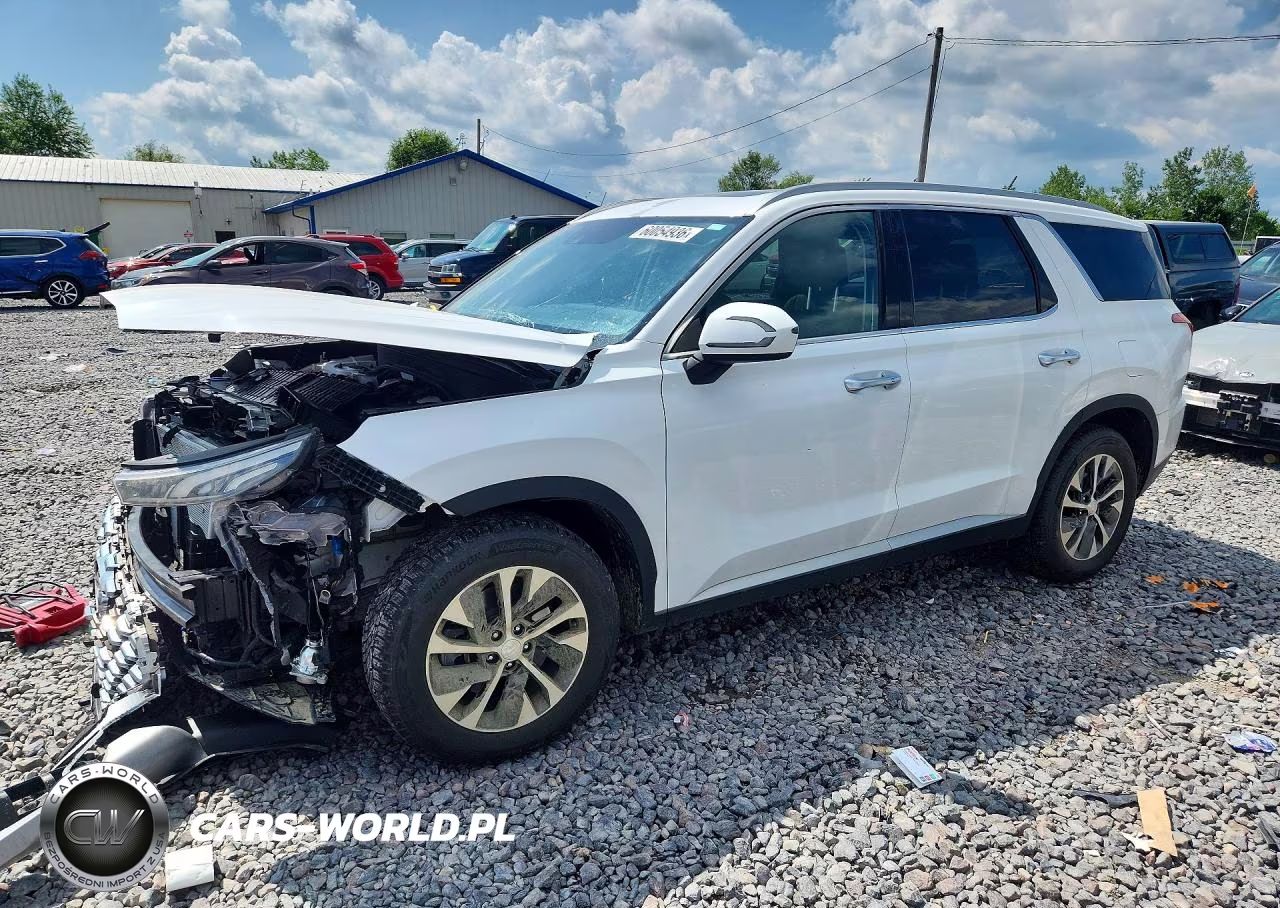 2020 Hyundai Palisade Sel