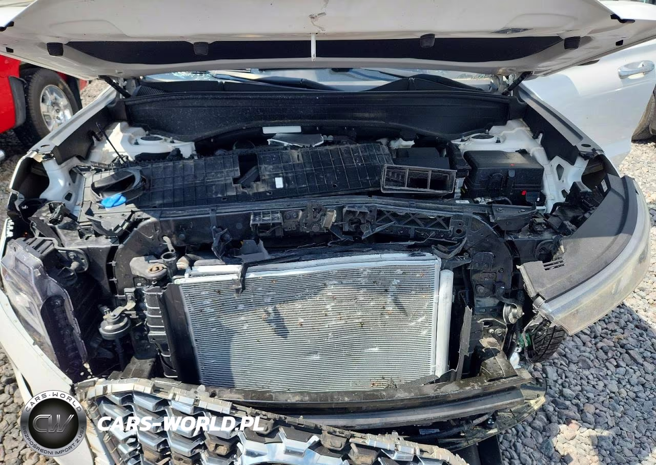 2020 Hyundai Palisade Sel VIN:KM8R2DHE0LU092342 - 11