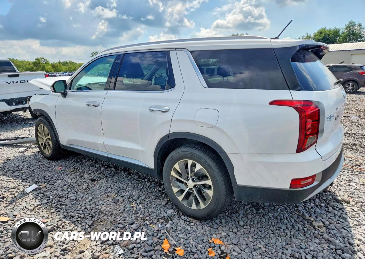 2020 Hyundai Palisade Sel VIN:KM8R2DHE0LU092342 - 2
