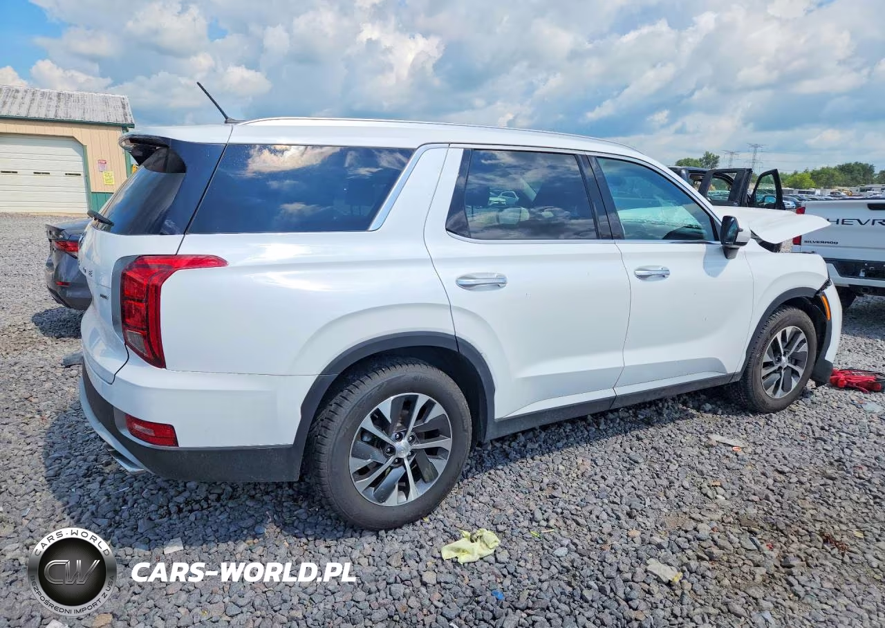 2020 Hyundai Palisade Sel VIN:KM8R2DHE0LU092342 - 3