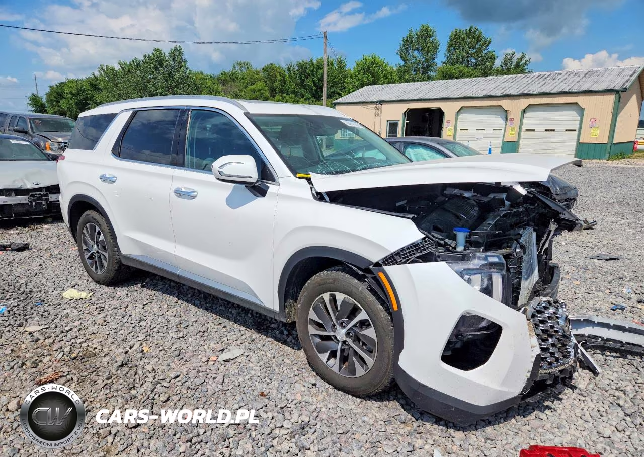 2020 Hyundai Palisade Sel VIN:KM8R2DHE0LU092342 - 4