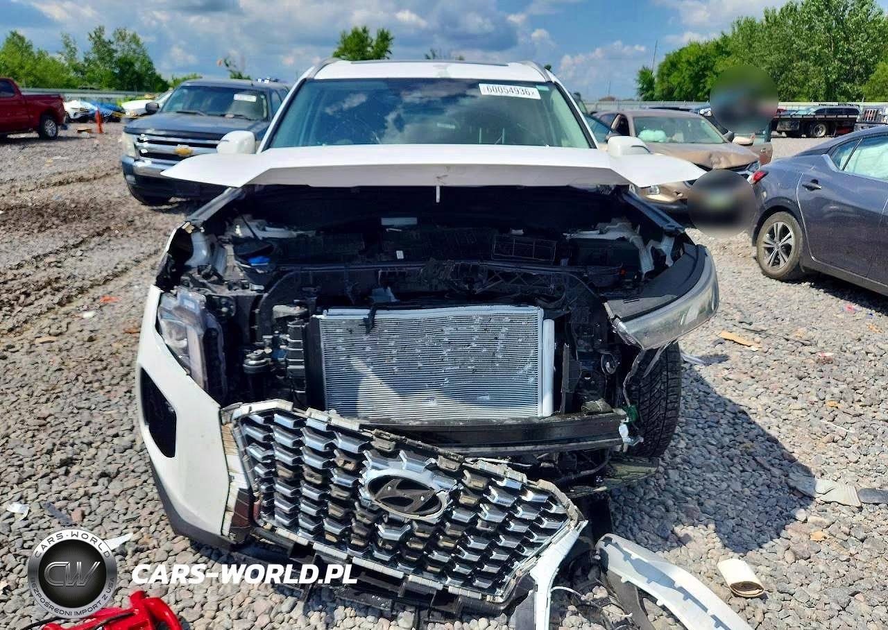 2020 Hyundai Palisade Sel VIN:KM8R2DHE0LU092342 - 5