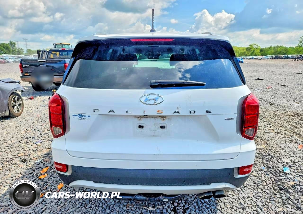 2020 Hyundai Palisade Sel VIN:KM8R2DHE0LU092342 - 6