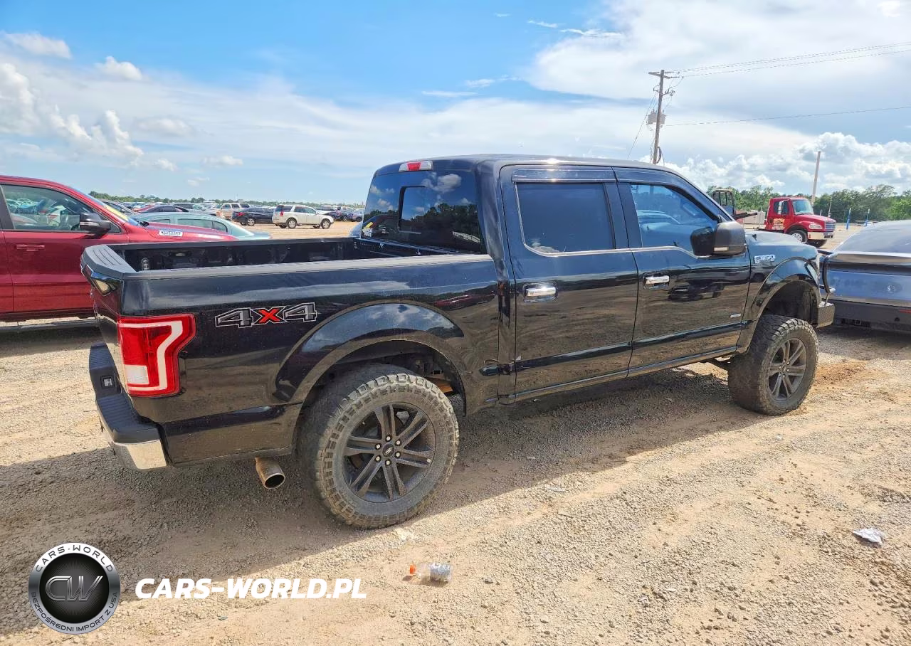 2017 Ford F150 Supercrew VIN:1FTEW1EP2HFB51091 - 3