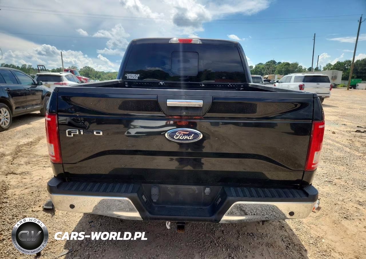 2017 Ford F150 Supercrew VIN:1FTEW1EP2HFB51091 - 6