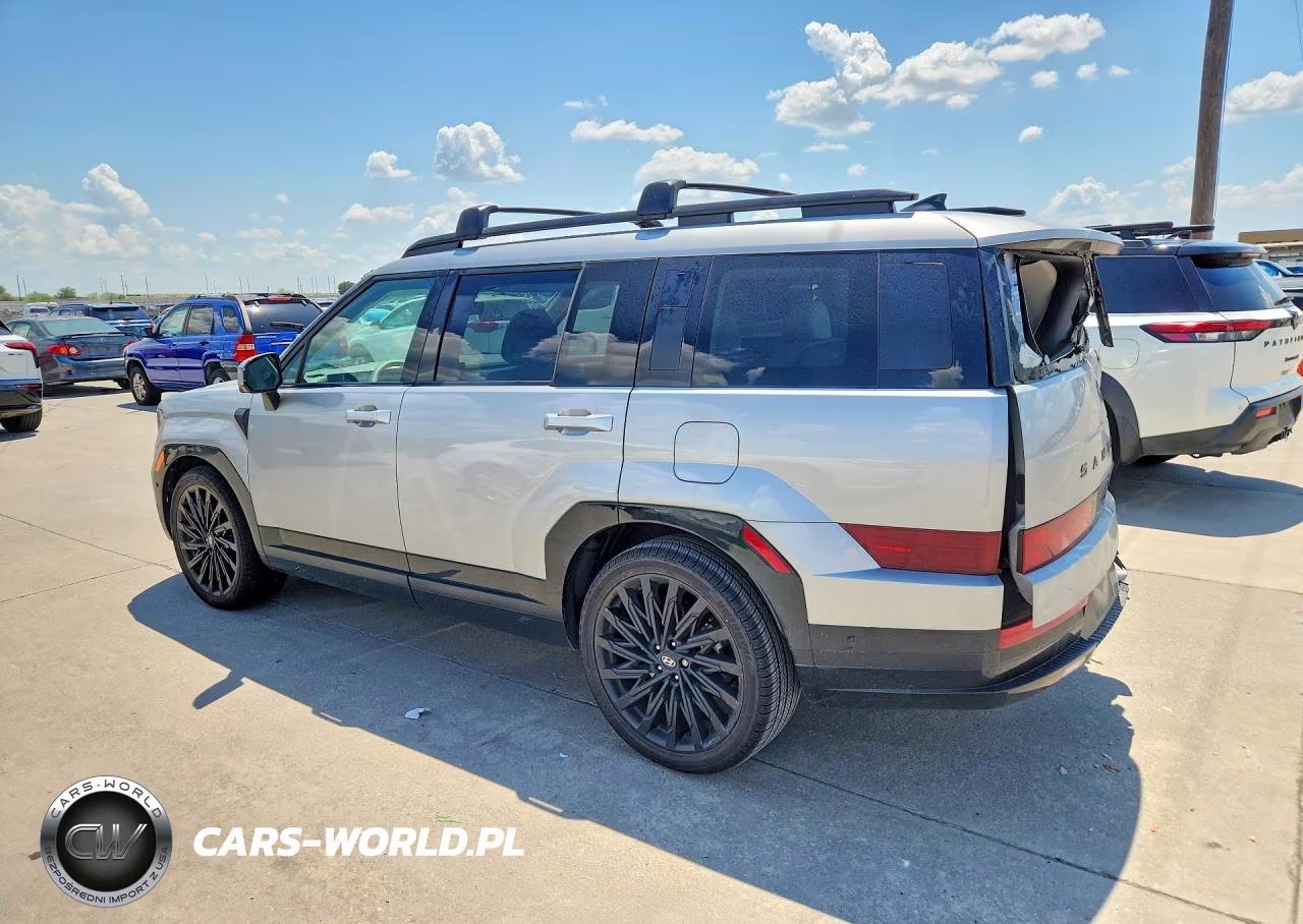 2025 Hyundai Santa Fe VIN:5NMP54GL8SH104651 - 2
