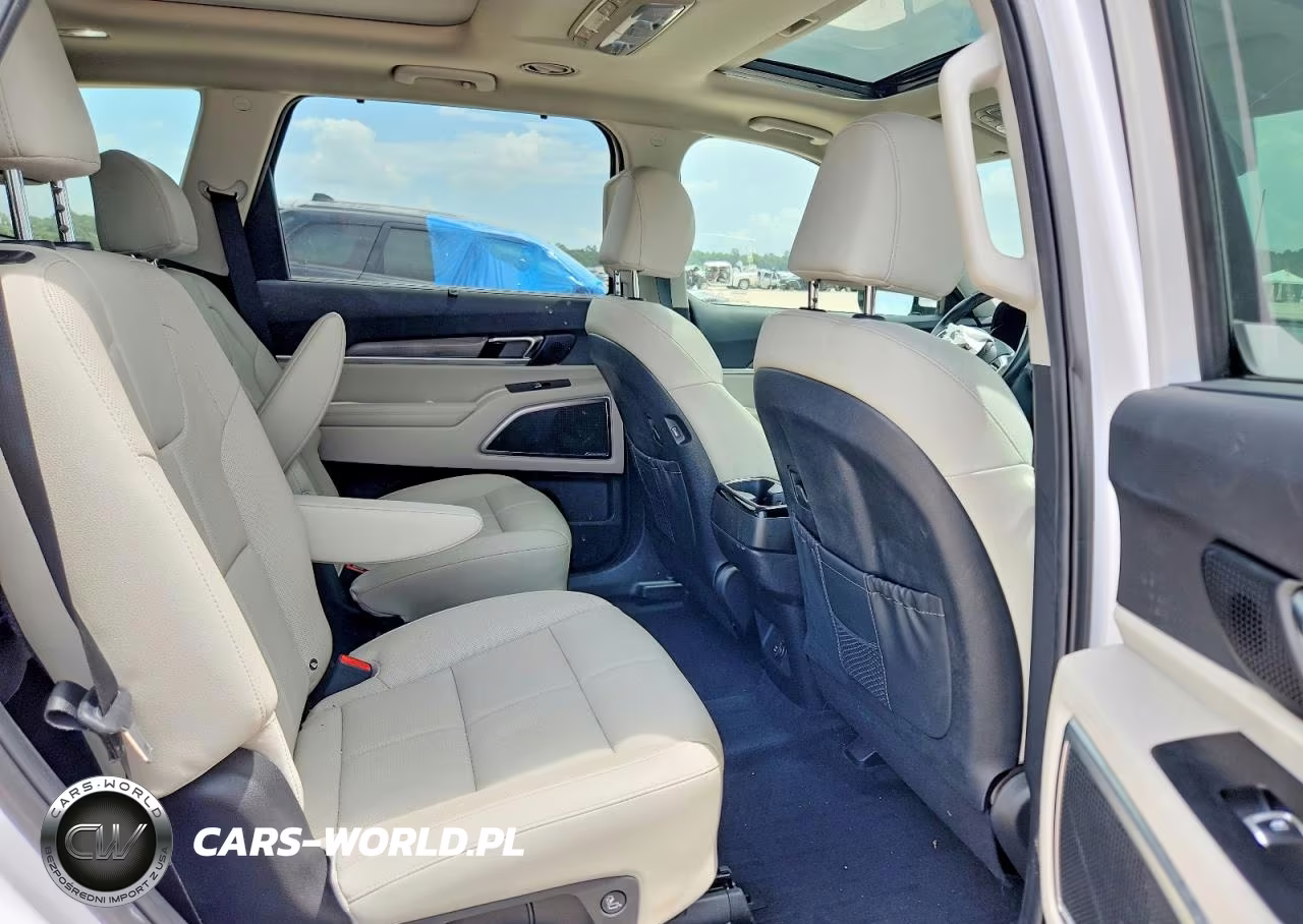2022 Kia Telluride Sx VIN:5XYP5DHC8NG213592 - 11