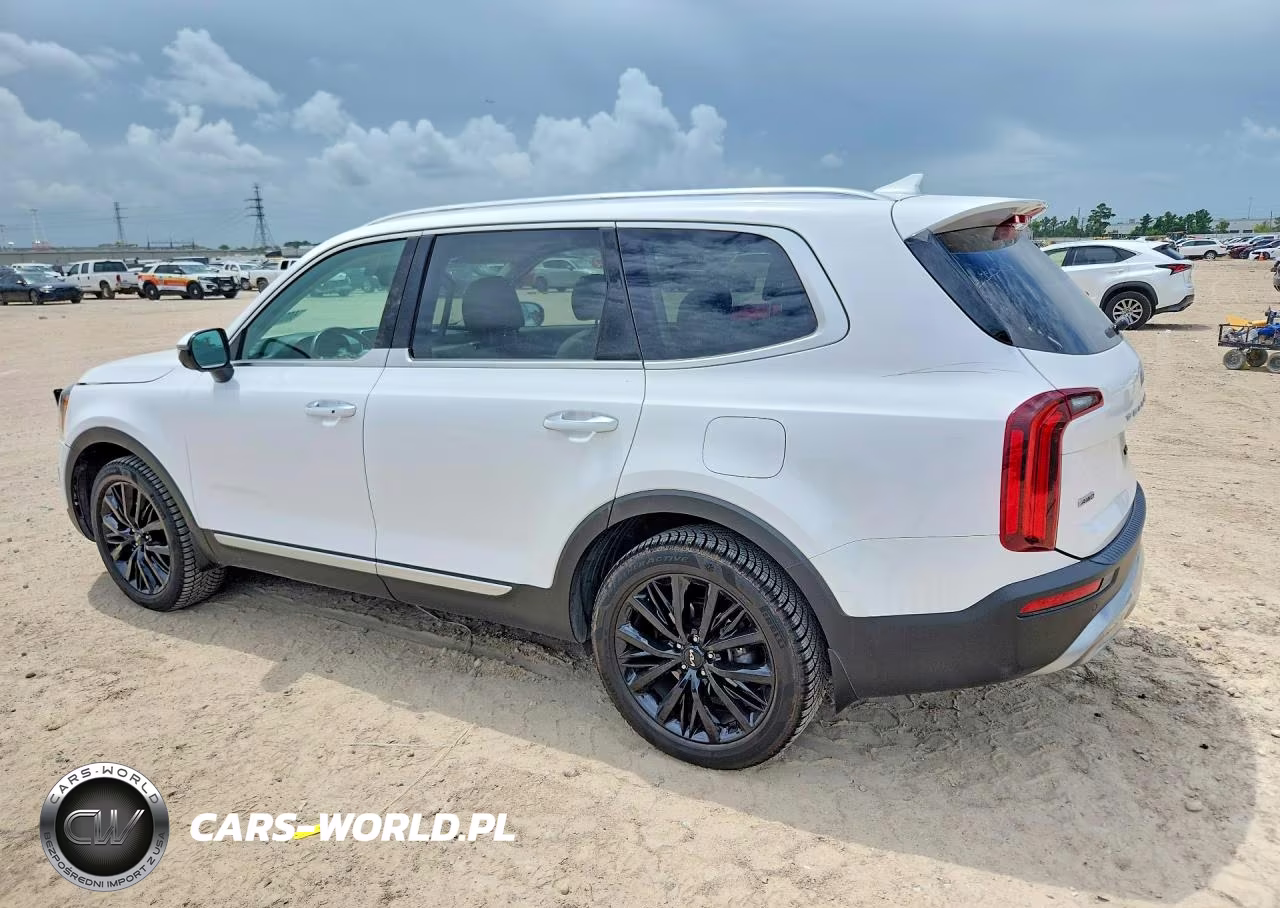 2022 Kia Telluride Sx VIN:5XYP5DHC8NG213592 - 2