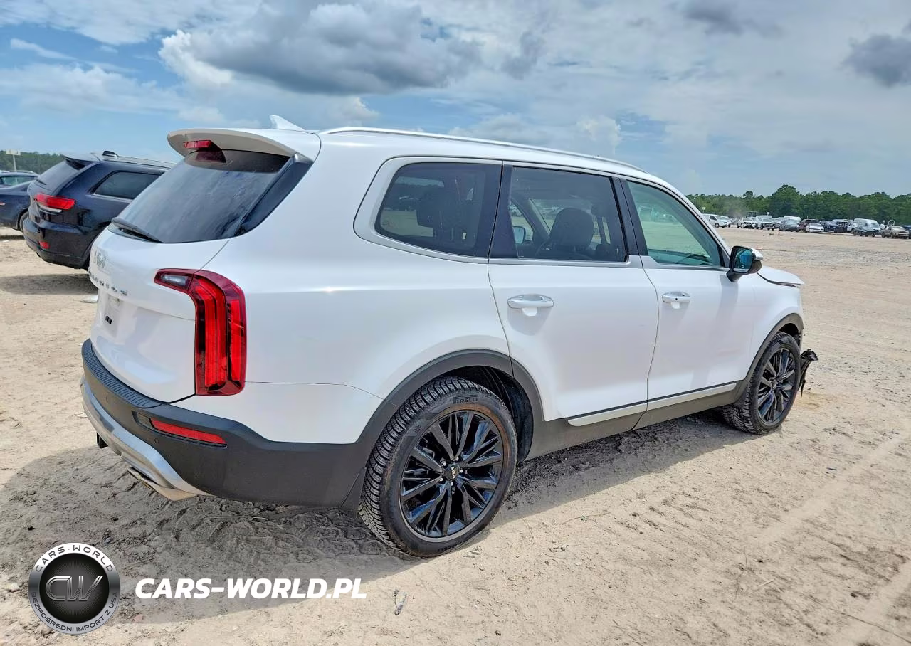 2022 Kia Telluride Sx VIN:5XYP5DHC8NG213592 - 3