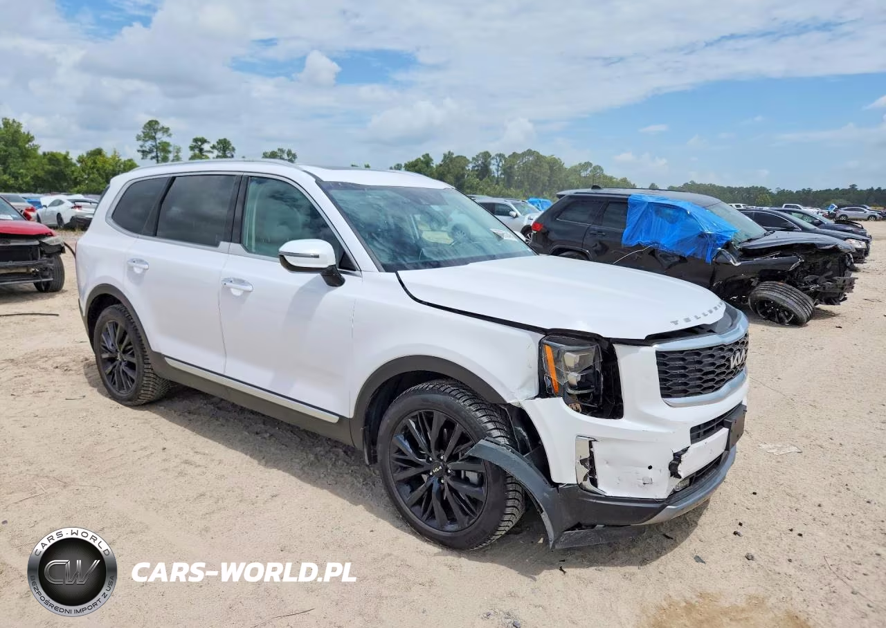 2022 Kia Telluride Sx VIN:5XYP5DHC8NG213592 - 4