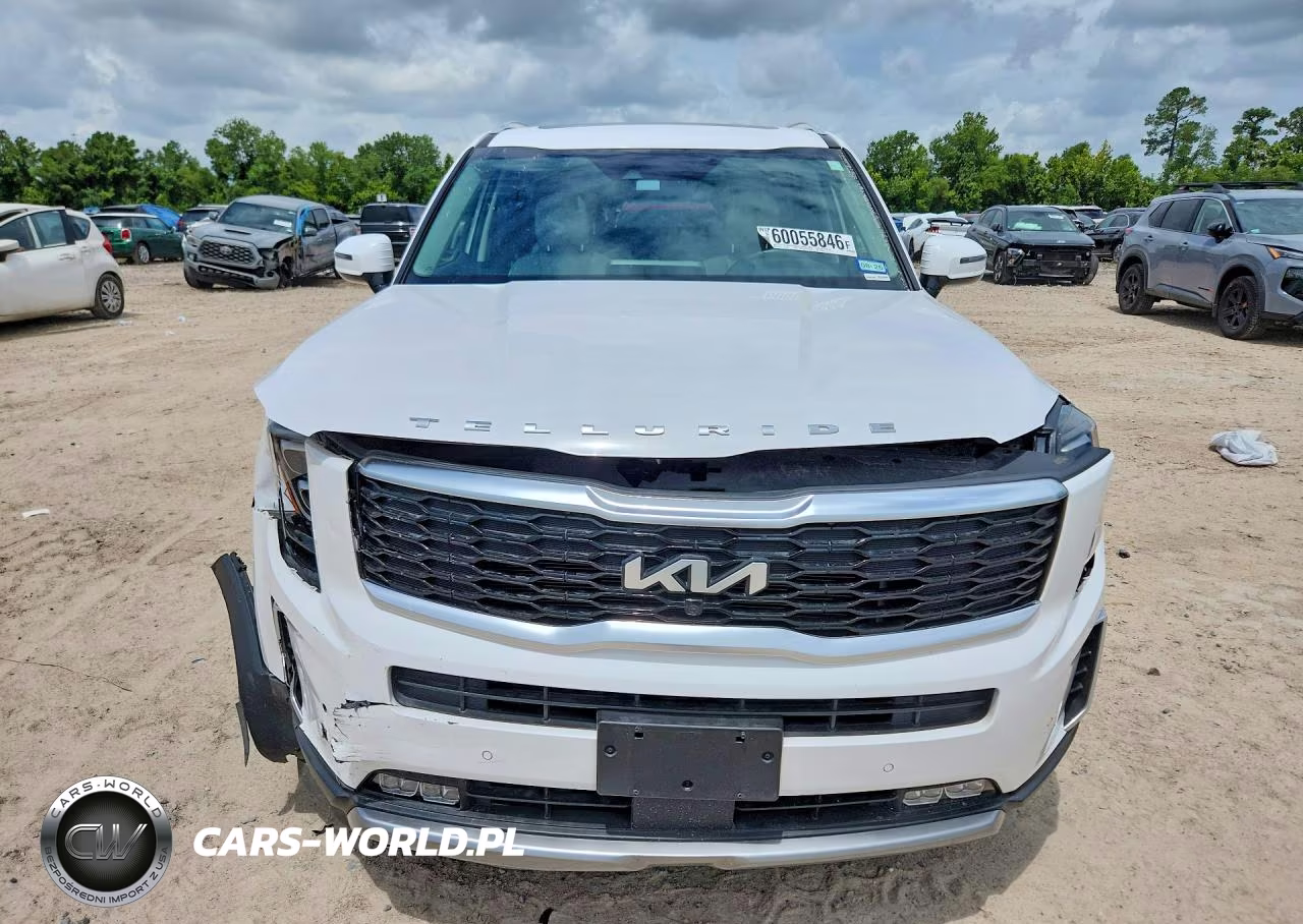2022 Kia Telluride Sx VIN:5XYP5DHC8NG213592 - 5