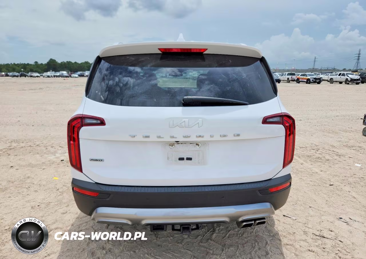 2022 Kia Telluride Sx VIN:5XYP5DHC8NG213592 - 6
