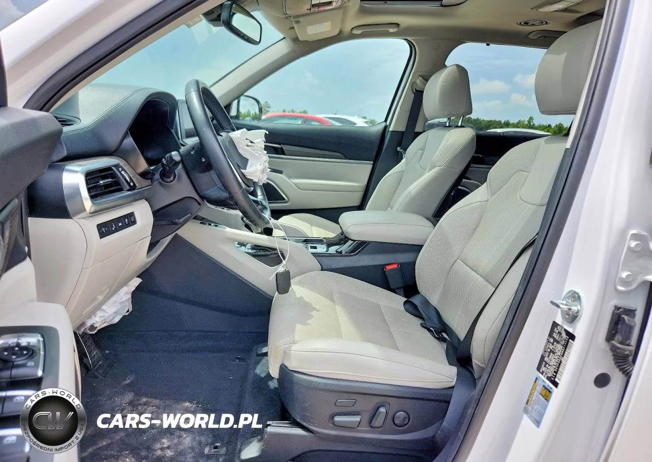 2022 Kia Telluride Sx VIN:5XYP5DHC8NG213592 - 7