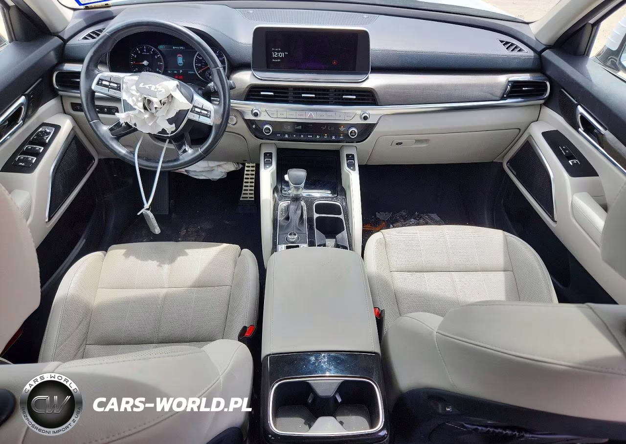 2022 Kia Telluride Sx VIN:5XYP5DHC8NG213592 - 8