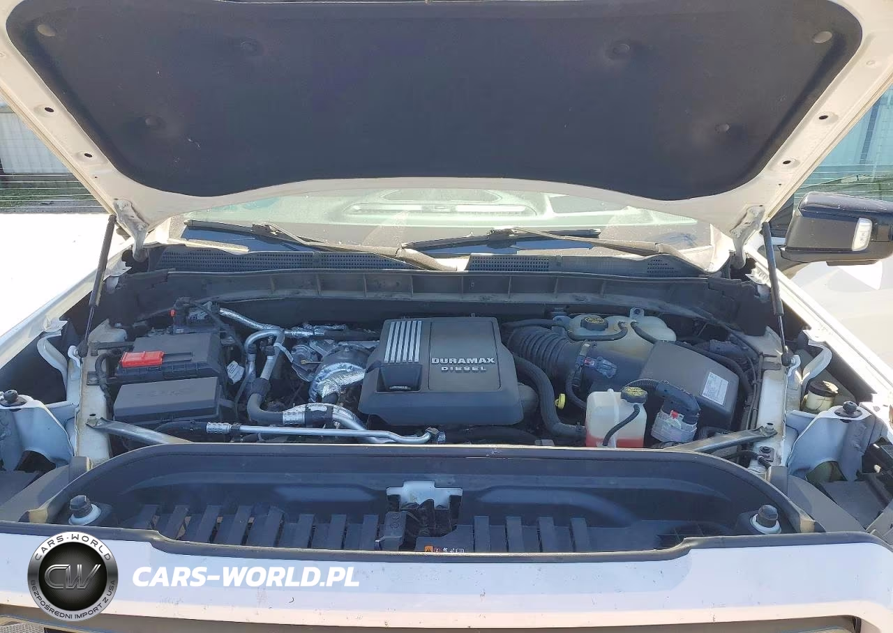 2021 GMC Sierra K1500 At4 VIN:3GTU9EETXMG324484 - 11