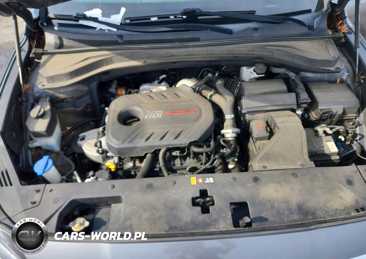 2019 Hyundai Santa Fe Ultimate 2.0T VIN:5NMS53AA1KH119830 - 11