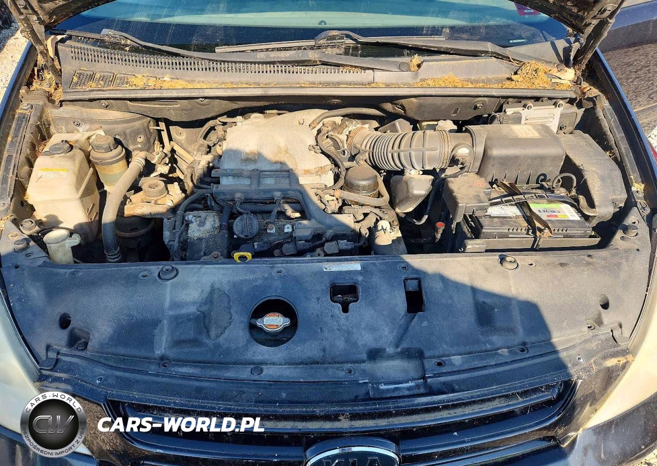 2008 Kia Sedona Lx VIN:KNDMB233986222204 - 12