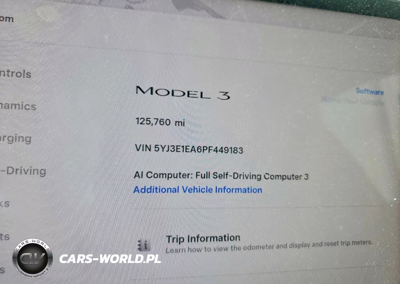 2023 Tesla Model 3 VIN:5YJ3E1EA6PF449183 - 9