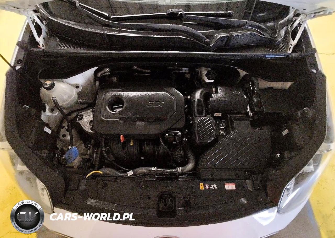 2020 Kia Sportage Lx VIN:KNDPM3AC8L7687768 - 12