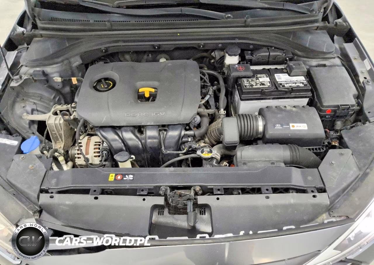 2019 Hyundai Elantra Sel VIN:KMHD84LF0KU791980 - 11