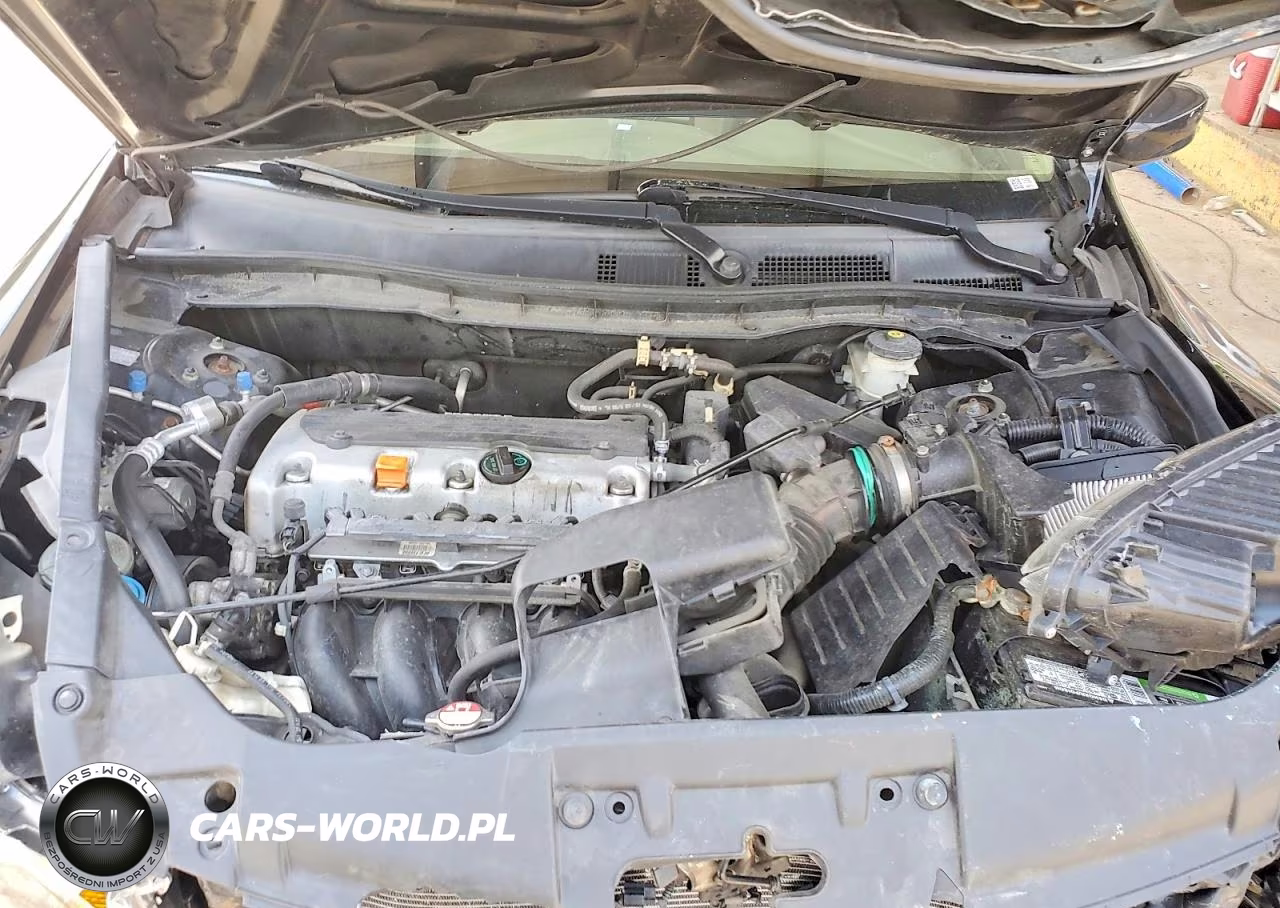 2010 Honda Accord Lxp VIN:1HGCP2F40AA102927 - 11