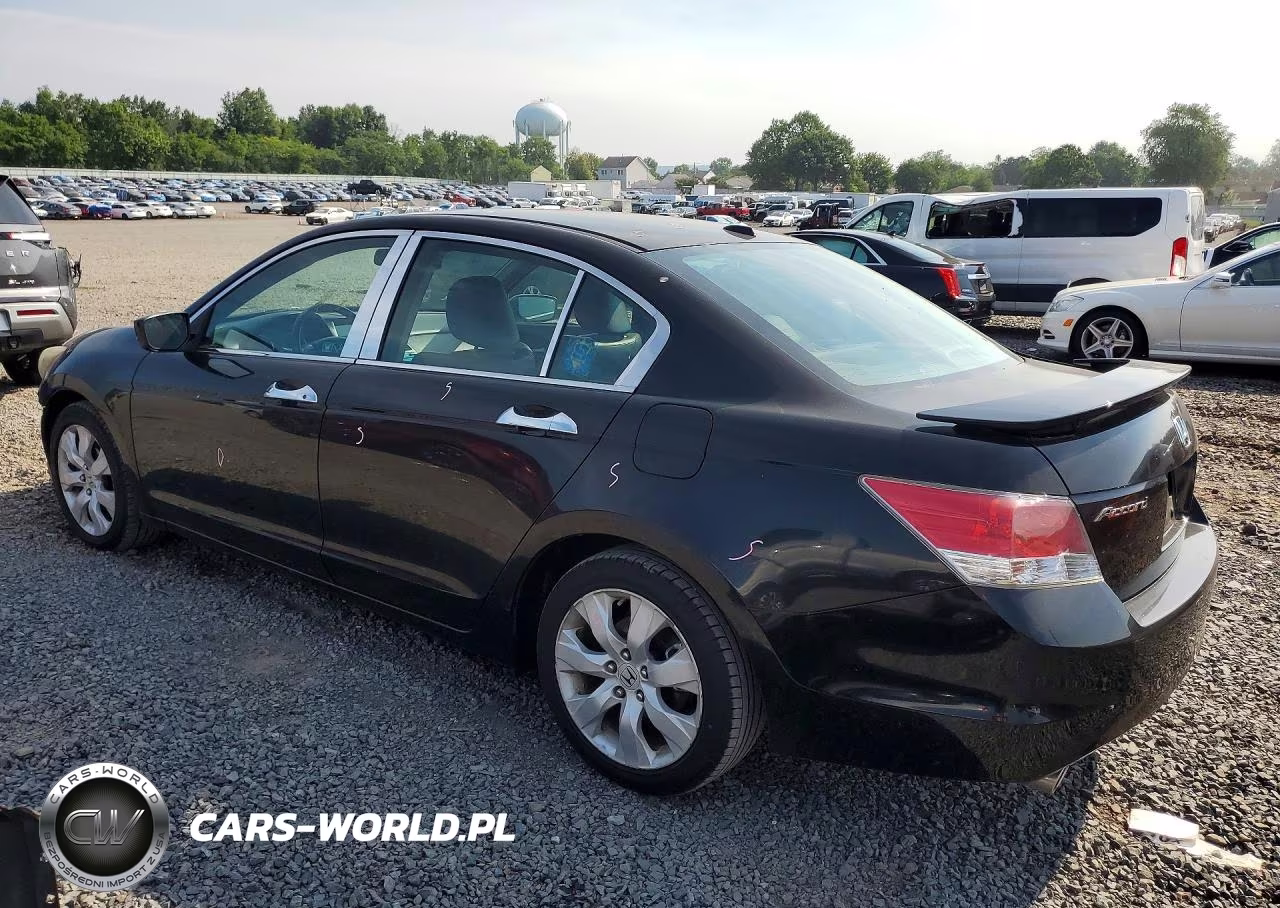2010 Honda Accord Exl VIN:1HGCP3F83AA009859 - 2