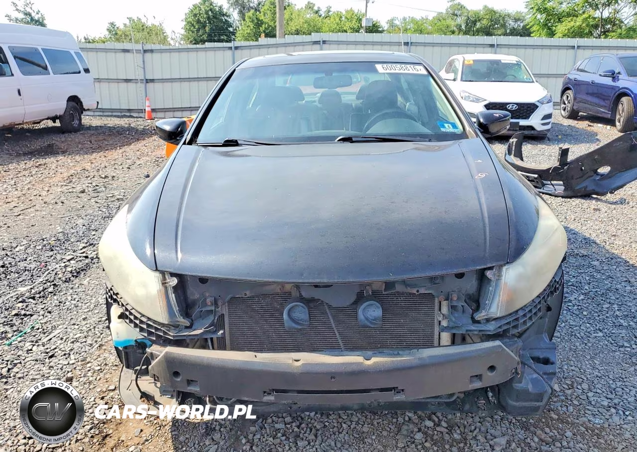2010 Honda Accord Exl VIN:1HGCP3F83AA009859 - 5